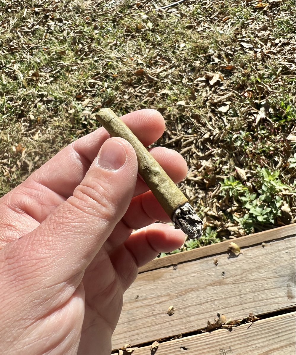 travisa850's tweet image. #HigherVibes