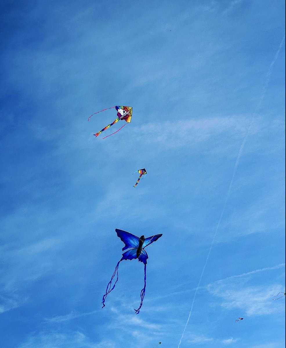 mews_views's tweet photo. Let’s go Fly a Kite , up to the highest height 🪁 
Blackheath Kite Festival -  Photography by Kelly Mew.
#kite #kites #kitefestival #letsgoflyakite #blackheathkitefestival #blackheathkiteflying #kitephotography #kitephoto #photography #blackheath #london #picoftheday https://t.co/IfVLDU6jPQ
