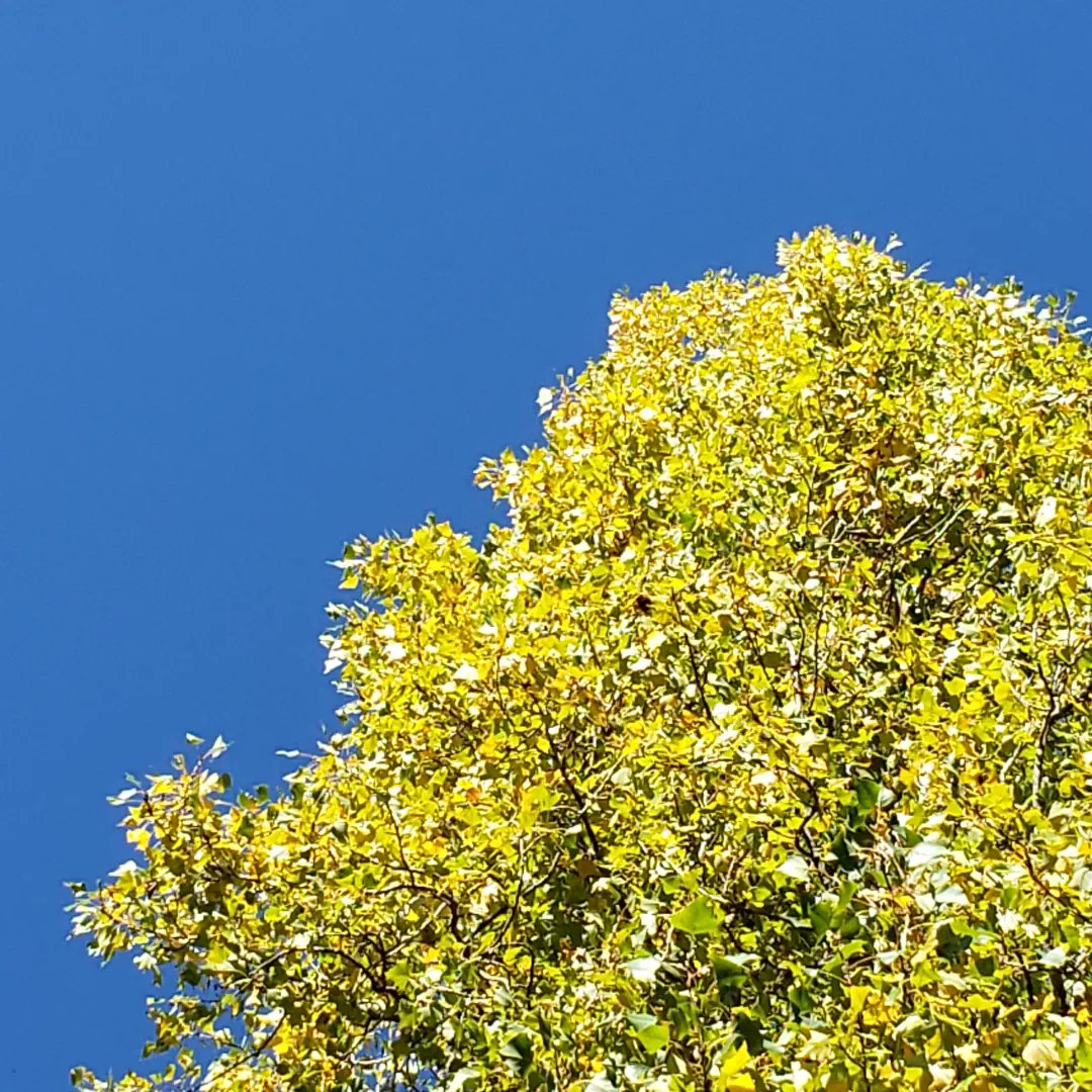 dnkinsey (@orcasla) on Twitter photo 