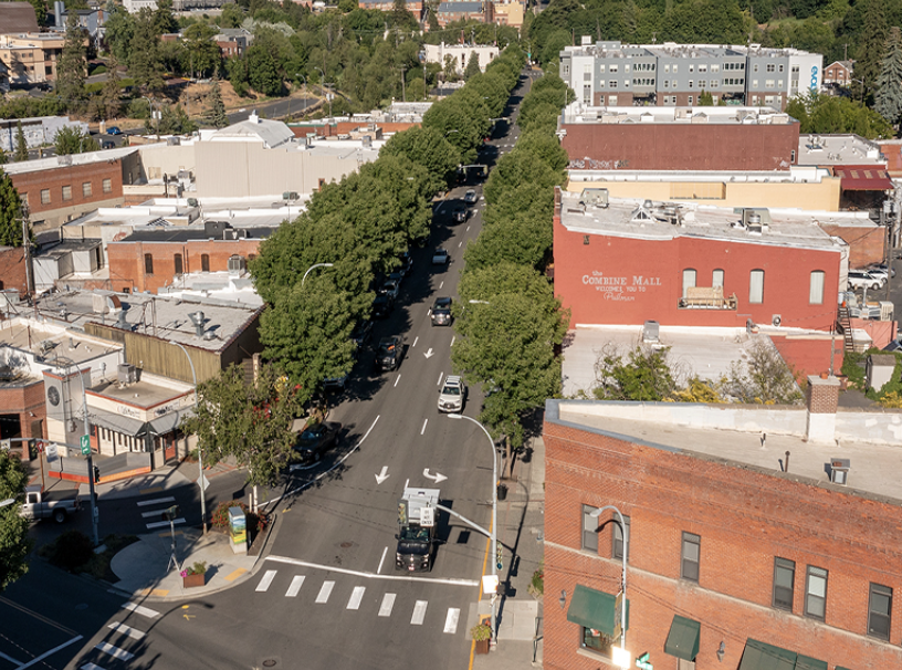 every single tree on Main Street in #pullman will be cut down in May 2024

ironically, when one searches for Pullman, this image is a result

#stopthechop