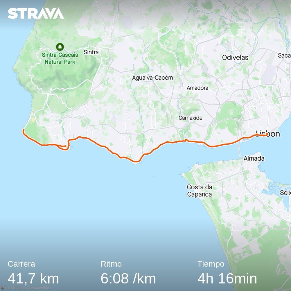 Salva L. tweet media