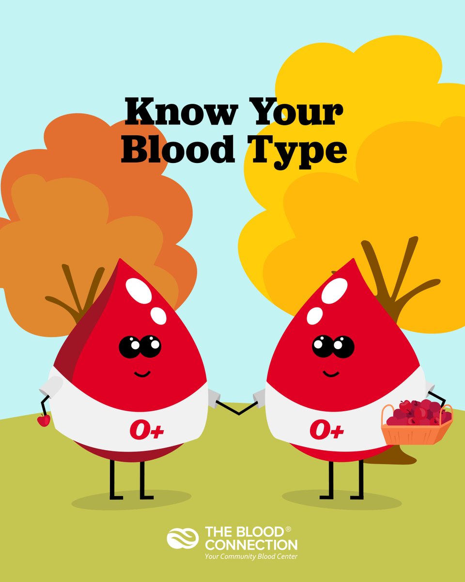 BloodConnection's tweet image. O+ blood is used most often for trauma, air medical services, and ambulance emergencies. This #bloodtype is in high demand and only makes up 37% of the population! Are you in that percentage? 🩸