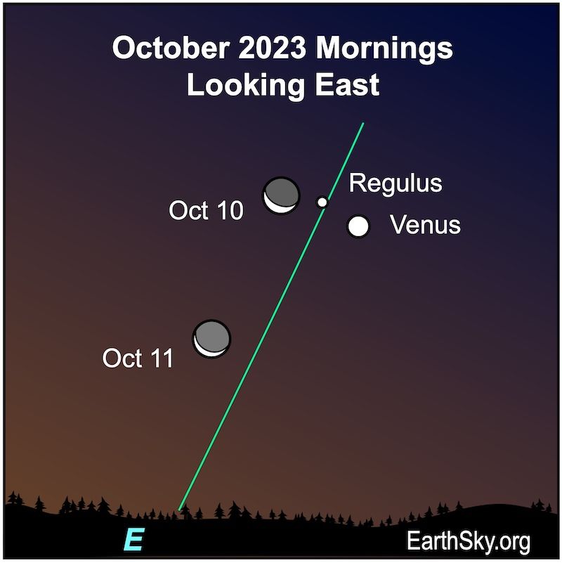 earthskyscience's tweet photo. Don't miss the scene on Tuesday morning, when the waning moon will float near the bright planet Venus. The bright star Regulus, Heart of the Lion in Leo, will be nearby. Venus and Regulus have a conjunction that day. Read more here: https://t.co/NIiSi72rNK

📸 EarthSky https://t.co/zCzTHM1fM8