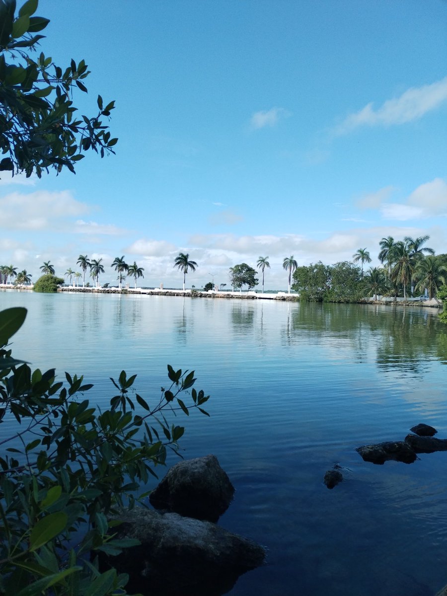 <a href="/omaralpuche/">omar alpuche leal</a> <a href="/MaraLezama/">Mara Lezama</a> <a href="/GobQuintanaRoo/">Gobierno Quintana Roo</a> <a href="/BlancaMerariPM/">Blanca Merari Puerto Morelos</a> <a href="/PtoMorelosAyto/">Ayto. Puerto Morelos</a> <a href="/abrahammasegosa/">abrahammasegosaraña</a> <a href="/chetubien/">Comunidad Chetubien</a> #QuintanaRoo49Años
#8DeOctubreDe1974
<a href="/blueeeambriz/">Azul Ambríz</a>
<a href="/diana_uan/">Diana Uan</a>
<a href="/dafnheed/">Dafnhee del carmen</a>
<a href="/LoriaNaidelyn/">Naidelyn Loria</a>
<a href="/loriaedilbertoo/">Edy Loria</a>
<a href="/egresadostec/">Asociación de Egresados del ITCH, A.C.</a>
<a href="/arquitecto_mx/">Victor Sánchez Ruz</a>
<a href="/egreteccancun/">Fundación de Egresados y Amigos del TecNM</a>
<a href="/enriqueoyromero/">Enrique Oy Romero</a>
<a href="/RebecaTem/">Rebeca</a>
<a href="/DianaEstefanaC6/">Diana Estefanía Coronado Ruíz</a>
<a href="/nellymercedes5/">Nelly Aguiar</a>
<a href="/Oliver_mexmtz/">Oliver Diego Mex Martinez</a>
<a href="/Fridasofia_27/">Frida Sofía</a>
<a href="/saori_rosel/">Saori Rosel</a>
<a href="/blueeeambriz/">Azul Ambríz</a>
<a href="/manuel8canul5/">Manuel Alberto Canul</a>