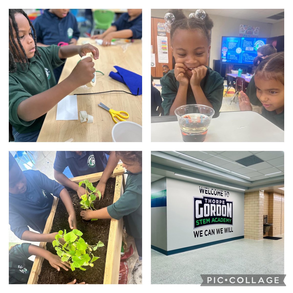 Melanie Thompson tweet media