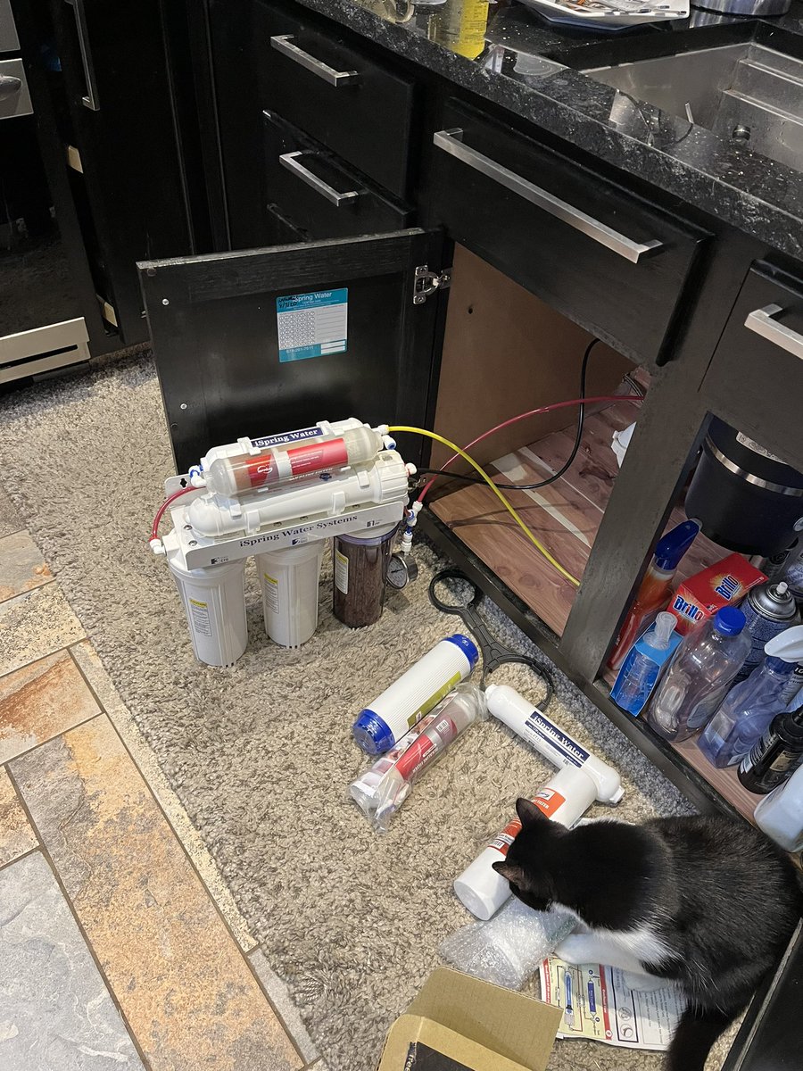 CryptoJoJo5's tweet image. Time for new filters!! #iSpring