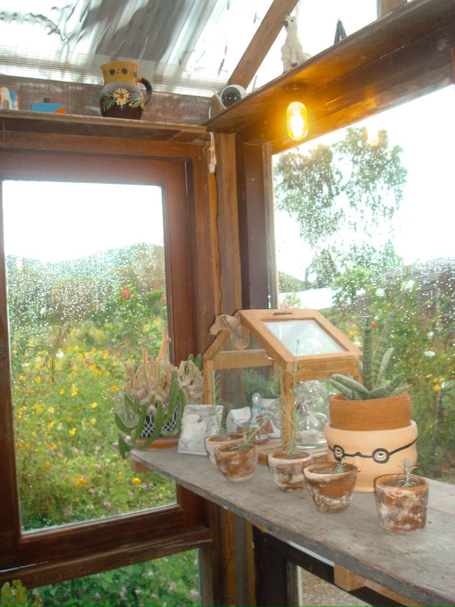 moddingmd's tweet photo. So far so good 🍃🌼 https://t.co/Z7hHzKuw2E