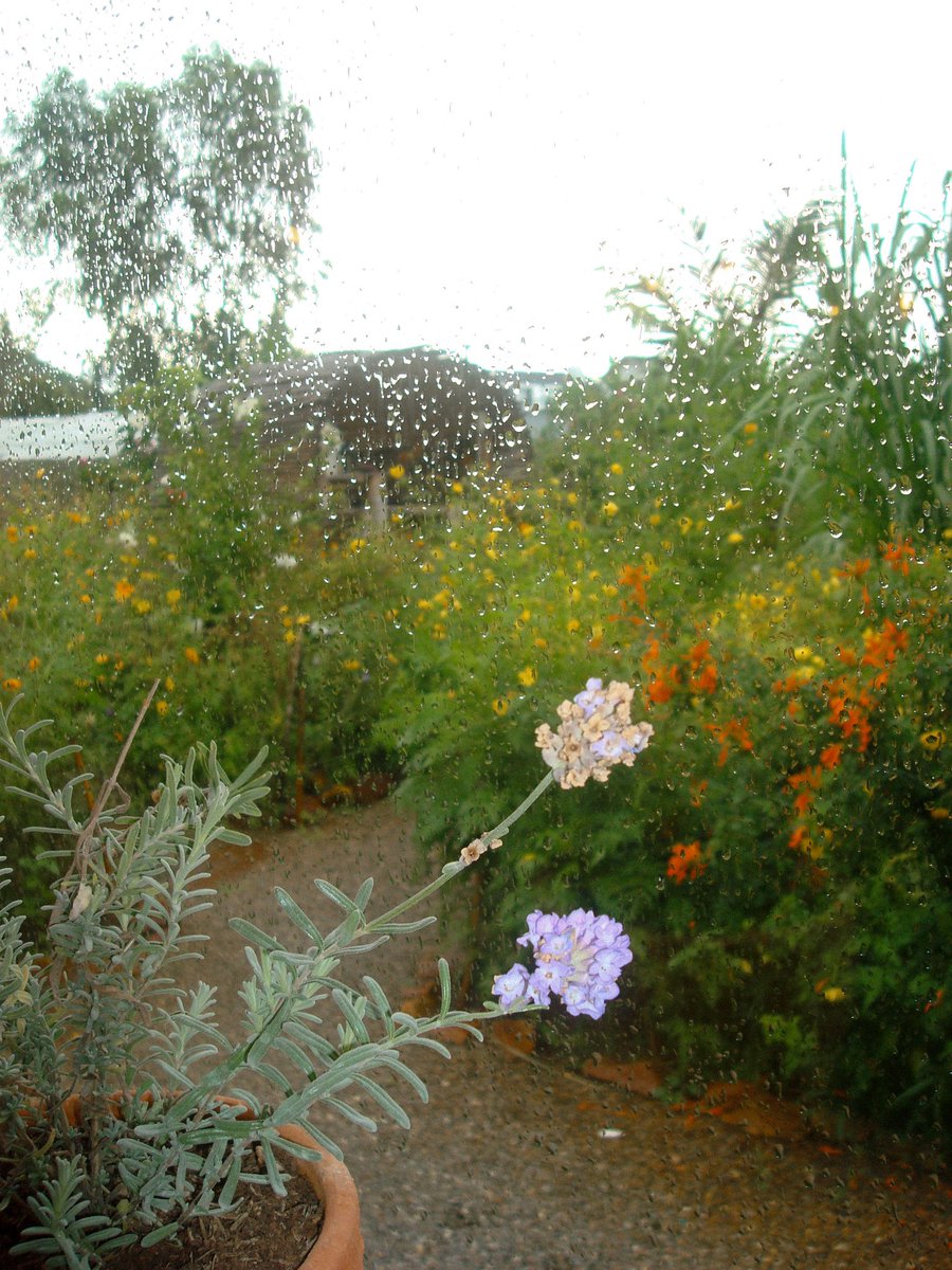 moddingmd's tweet photo. So far so good 🍃🌼 https://t.co/Z7hHzKuw2E