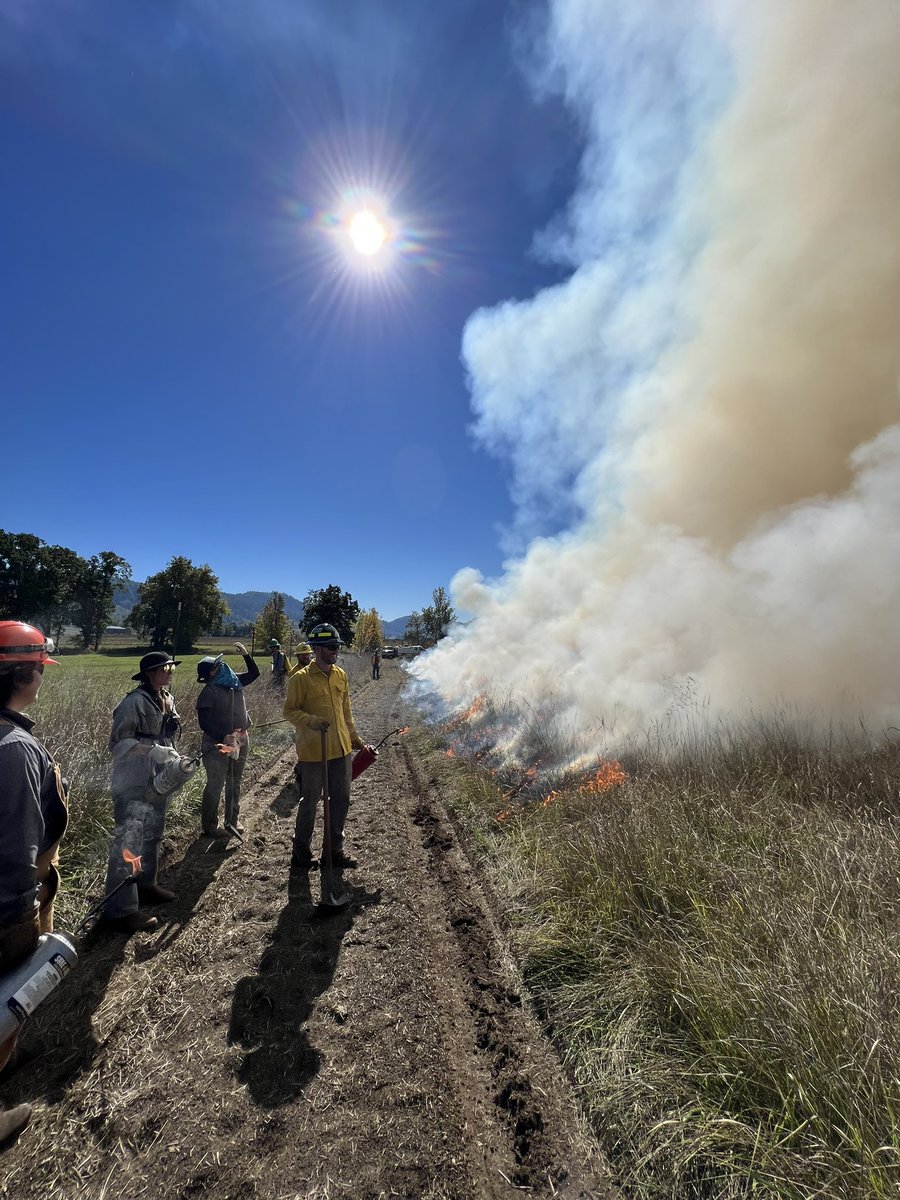 Community training burn in the Umpqua Valley, OR. Working to broaden access to the use of beneficial fire is one of the goals of the @OSUFireProgram! 1/2