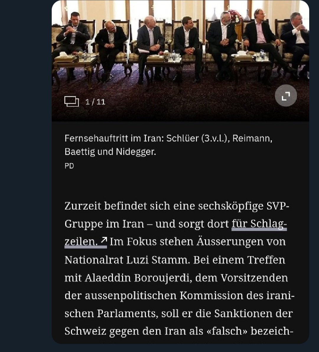 für mein verständnis: die svp verurteilt den terror der hamas, macht sich aber stark dafür, dass der iran diese mit unserem geld unterstützen kann. ist das richtig soweit? <a href="/svp/">SVP ᝰ.ᐟ</a>