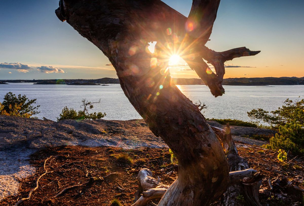 📷📷Good Morning World!📷📷   

Check out our daily top 8 artists on  #Hive

📷 Round 1540
📷 Image by Fotonorway8

peakd.com/hive-153349/@p…

#photography #hive #hiveworks #hiveblog #HIVETwitter #photo #artist #photofeed $hive