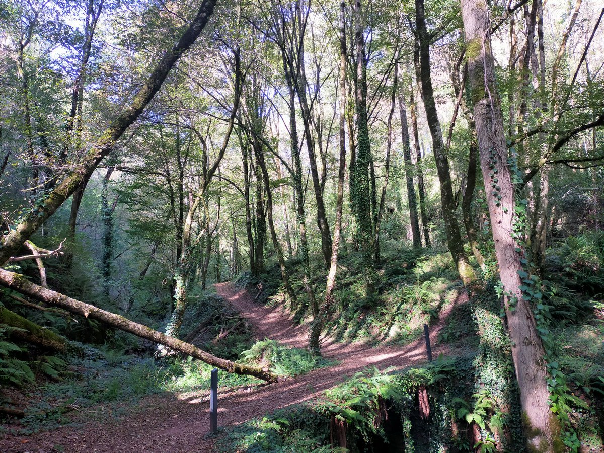 Bassalex24's tweet photo. 1km à pied 🎶🎶 boucle #SentierDesSources #Correze #Collonges https://t.co/KKtmdaGVNT