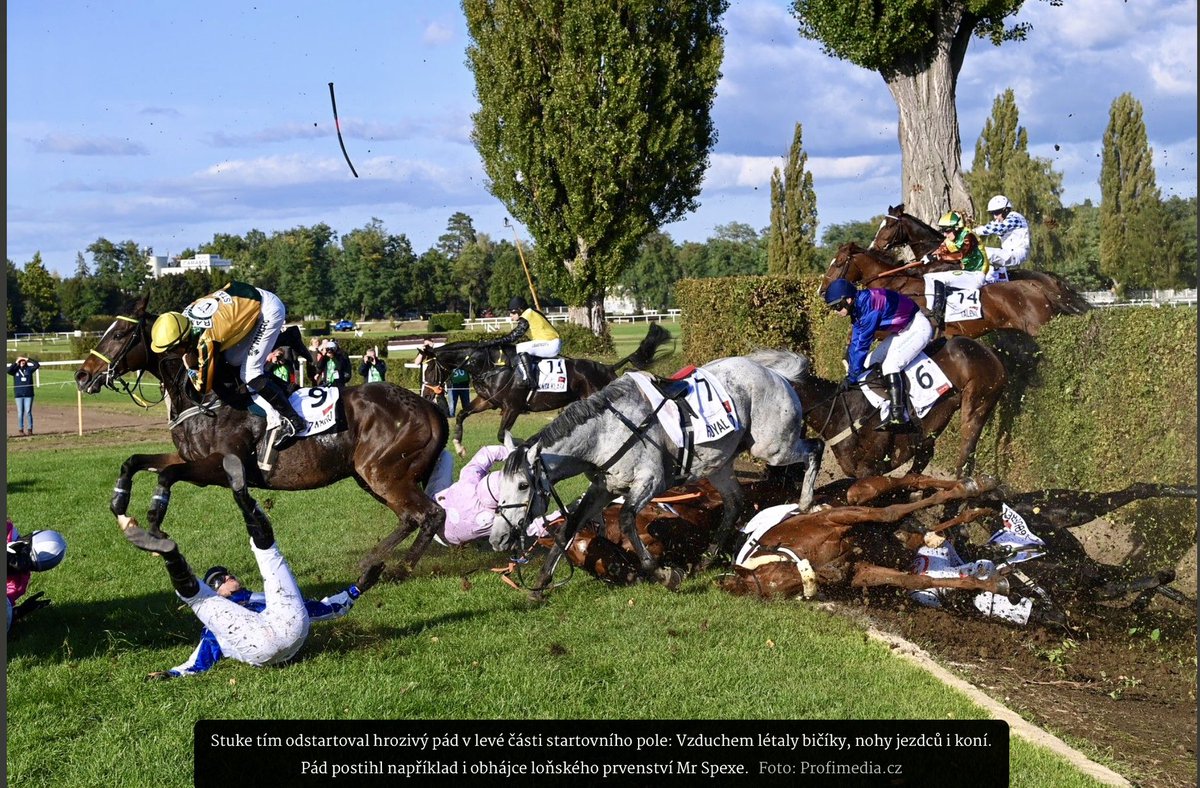 Dnešní Velká Pardubická. Ti chlapi vědí, do čeho jdou, ať si zpřelámou, co chtějí. Kde ale, k čertu, bere někdo tu zvrácenou odvahu vystavovat takovému riziku nevinná zvířata? Asi dostanu vynadáno, ale podle mě je to odsouzeníhodné týrání.
