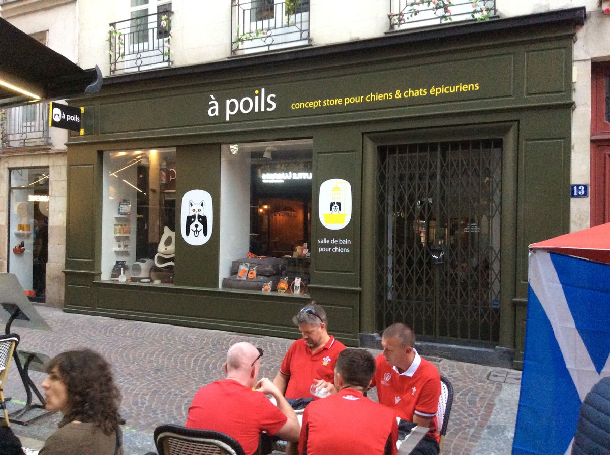 👀🔑 Ouverture d'A poils, nouveau #ConceptStore pour #chien 🐶et #chat 🐱📍rue du château à #Nantes.
