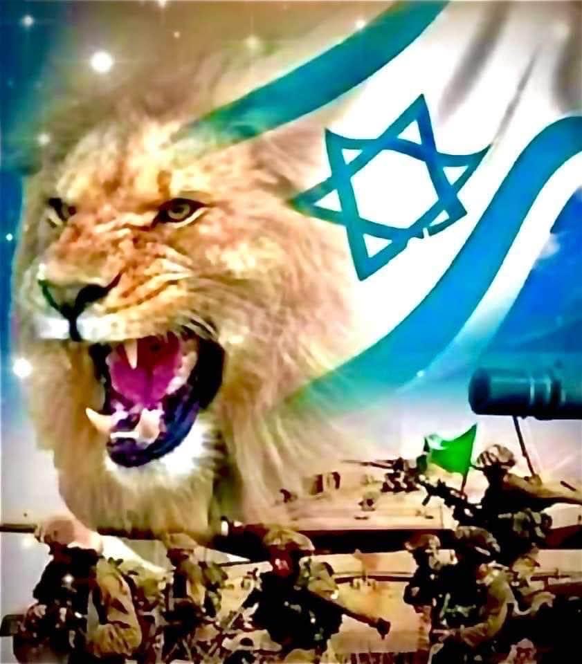 Frank Dux tweet media