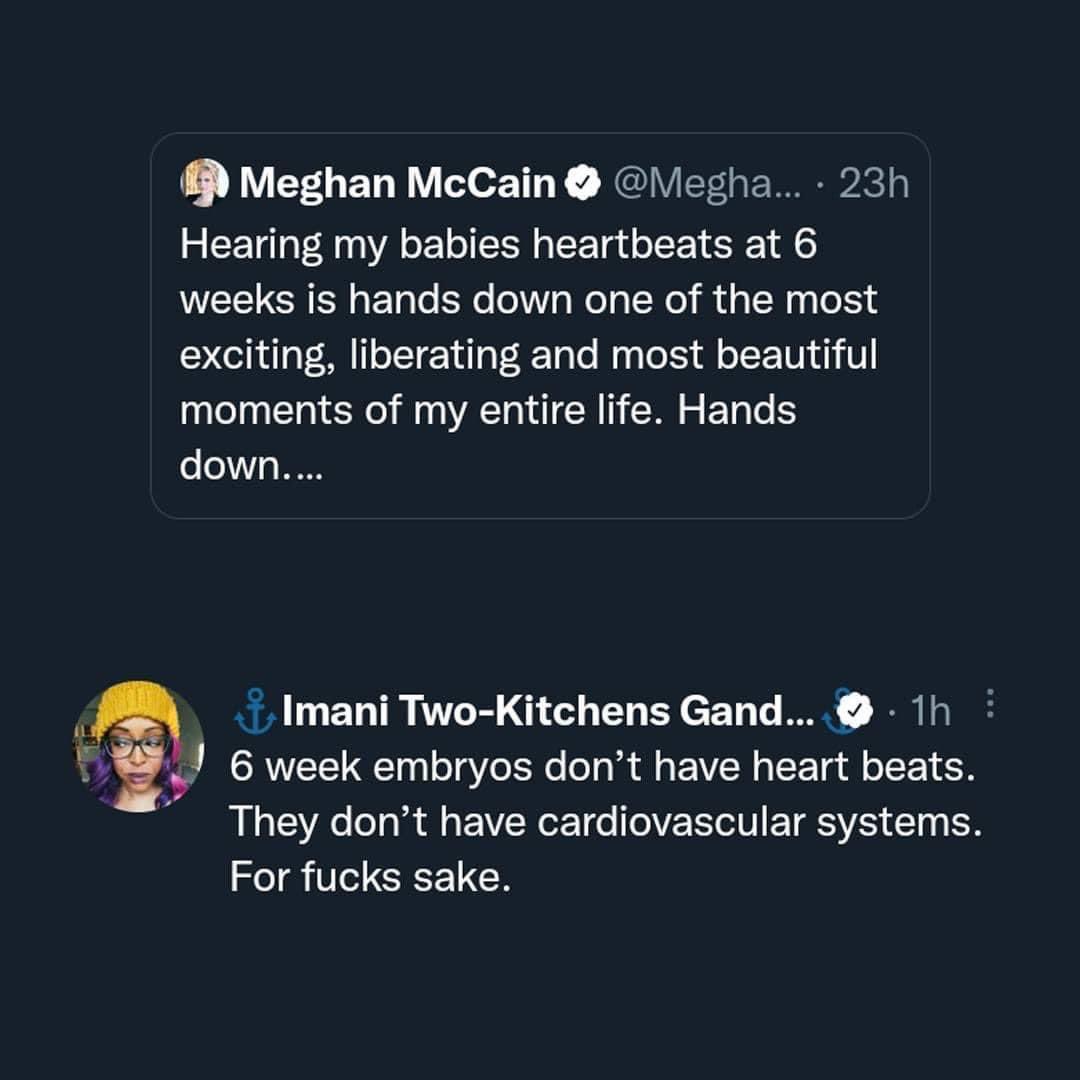 ShannonSteiner9's tweet image. Heart cells beat in a petri dish. What does that say?

(((Where are the fertility clinic protests?! They throw away several thousand embryos that aren’t used every day!)))
#AbortionRoghts #ProLife #AntiChoice #ProChoice #WomensRightsAreHumanRights #Hypocrites #Protests