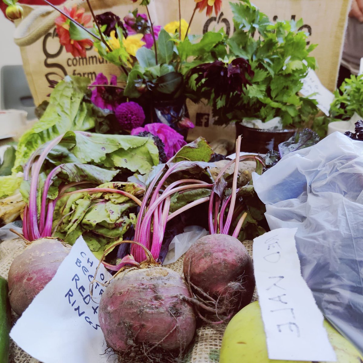 This is what #FunPalaces are all about! 

Caedmon Choir showcased more than their singing today - with clay figures, origami, and community gardening… So much going on 🥰