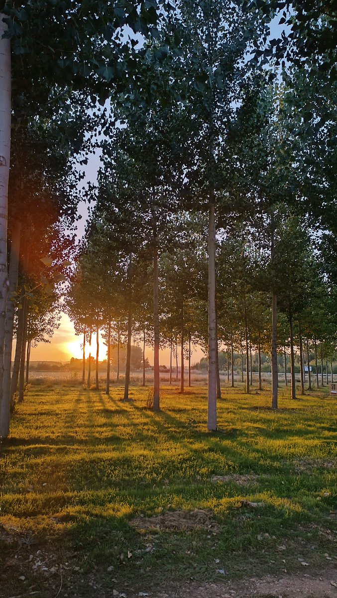 Superad este atardecer 🌄
San Esteban de Gormaz (Soria)
#soria #castillayleon #sorianitelaimaginas #soriaestademoda <a href="/CyLExcelente/">CyLExcelente</a>