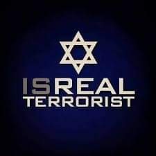 mhsindhe's tweet photo. #Israel is a #Terrorist if you agree then Retweet 

#GazaUnderAttack #طوفان_الأقصى https://t.co/lx3fpP5N9r