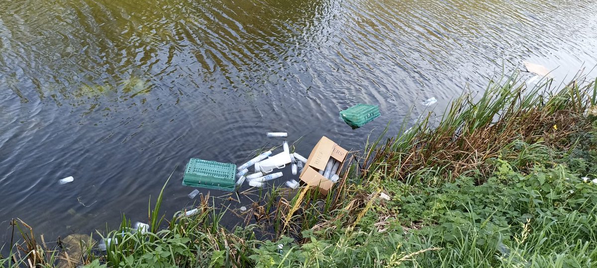Today was a sad day for Refill. 2k of re-usable cups, bins, jugs and other equipment chucked into the Grand Canal by someone after a race where our employees left to clean elsewhere for just 30 mins. Please don't blame us for the litter, we are making all efforts to retrieve.