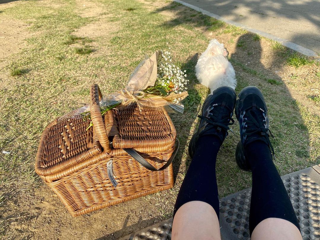 Why are the shadows black when the sun is shining?