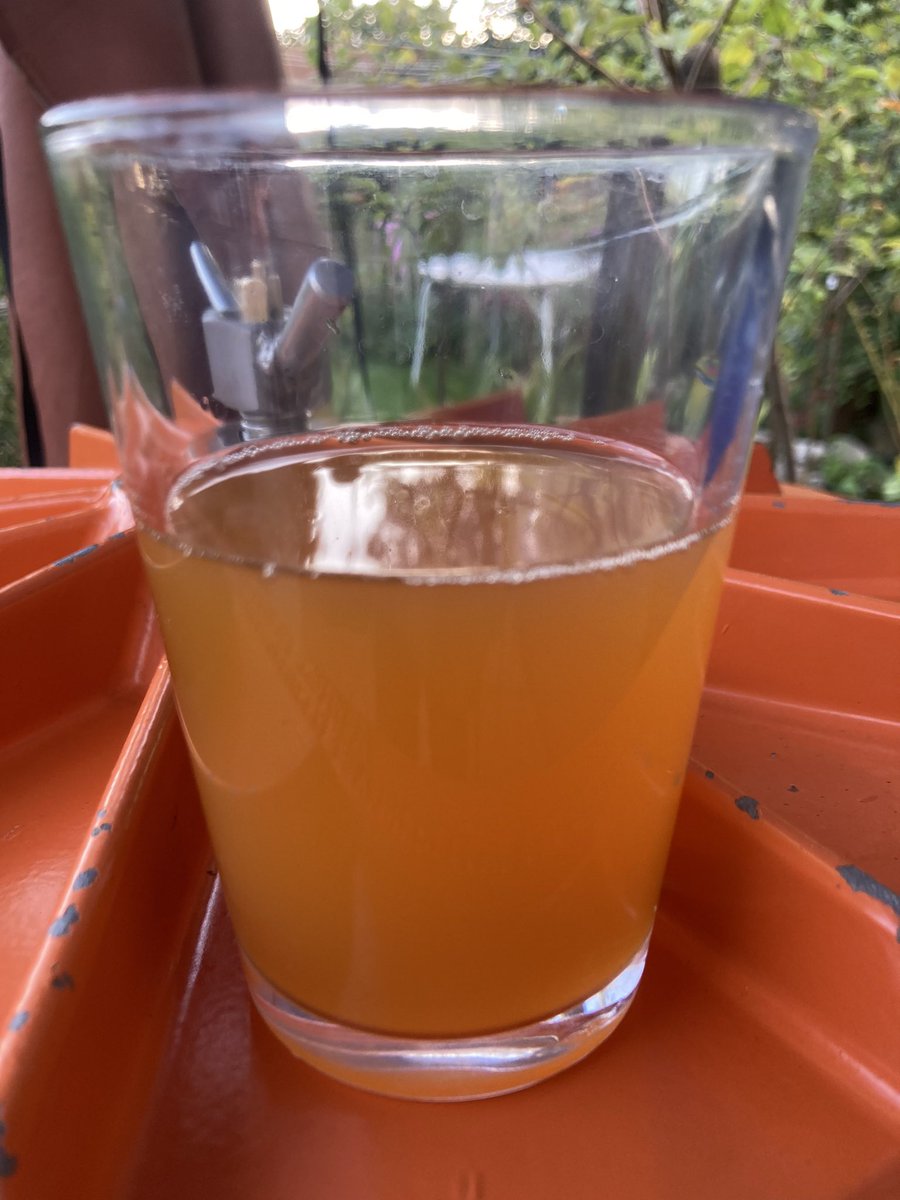 SevenTreesCider's tweet photo. Some of the ‘seven trees’ in our garden orchard are coming to fruit.
Michelin, Morgan Sweet, Sweet Coppin & Tremletts Bitter grown here in Reading.
Our inquisitive, layer Persephone photobombing again…
#MadeinReading #fulljuice #notfromconcentrate #craftcider #rdguk https://t.co/jUuuecWeYy
