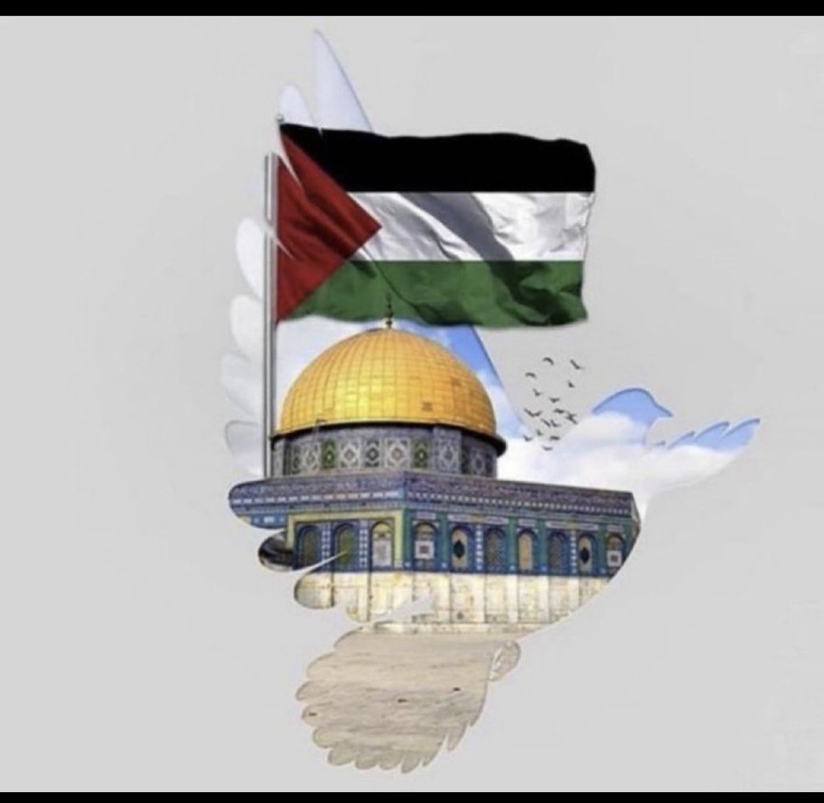 اللهم أيدهم بنصرك🇵🇸