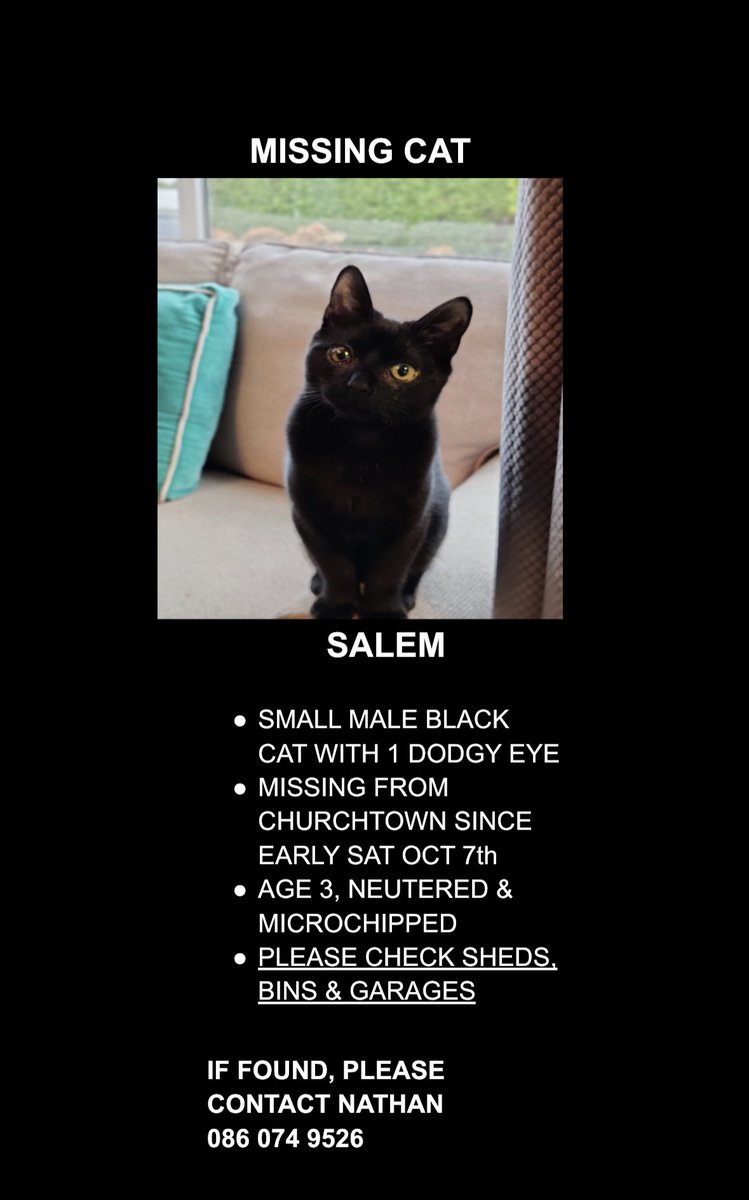 Our cat Salem is missing from Churchtown, Dublin 14 🙏🏻❤️