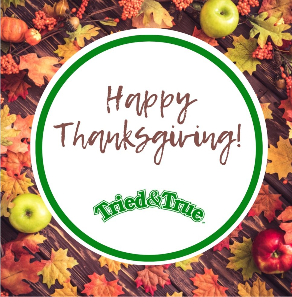 TriedTruePlants's tweet photo. May your Thanksgiving be bountiful with reasons to be grateful.
#gratefulheart 
#Thanksgiving #ThanksgivingWeekend #thanksgiving2023 #wishes #grateful #HappyThanksgiving #thankful #love #family #fall #turkey #gratitude #autumn #thankyou #turkey #photooftheday #October #friends https://t.co/6TqkPUkbgG