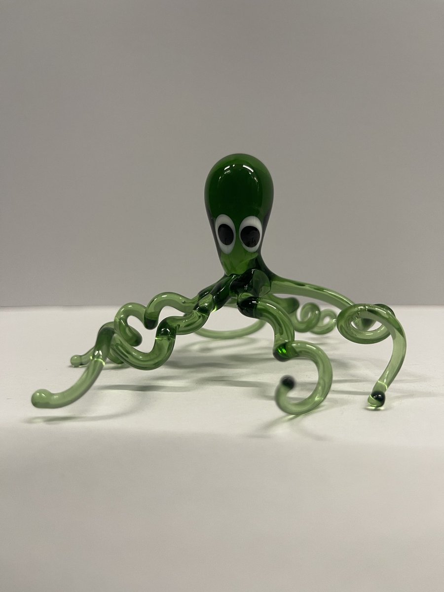 For #WorldOctopusDay we fished this little one from our collection! #museum #Collections #curators