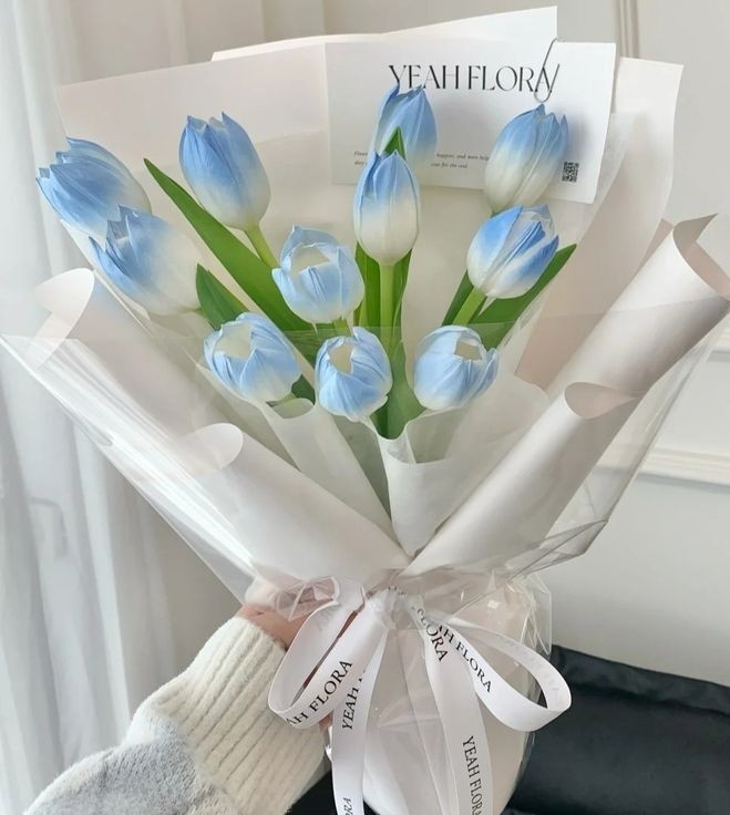 blue tulips
