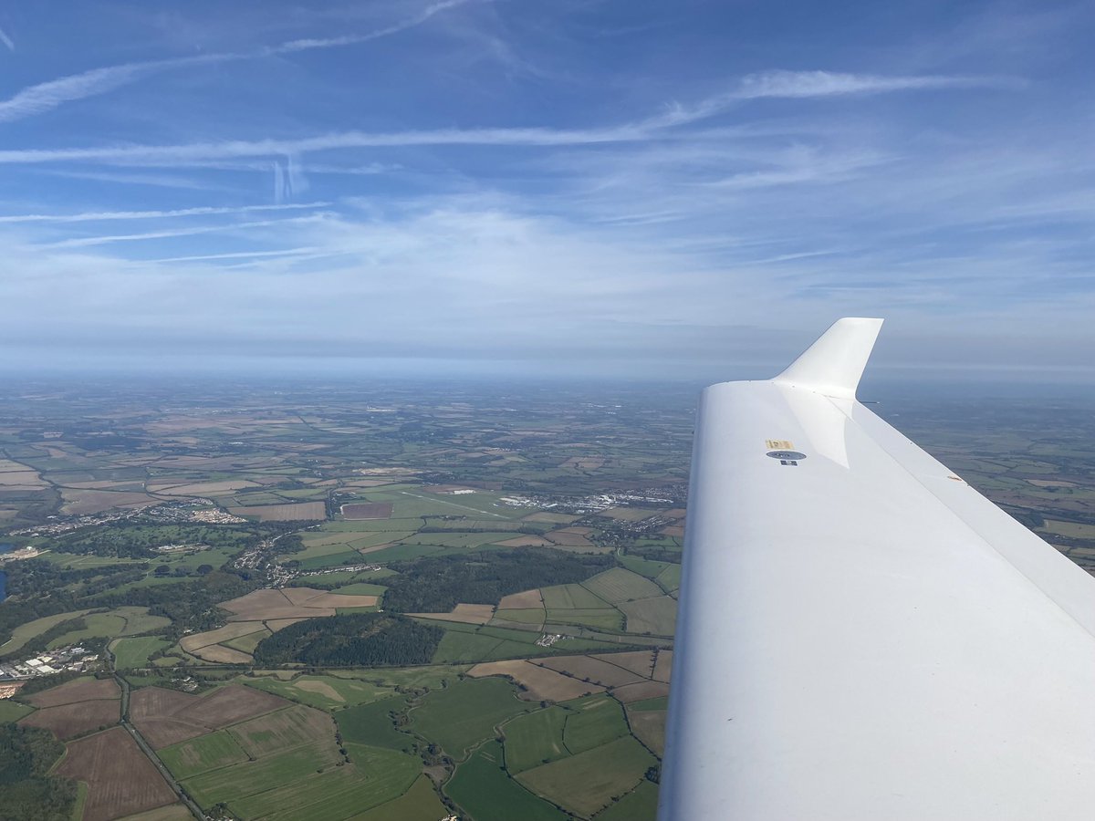 Bat Pilot tweet media