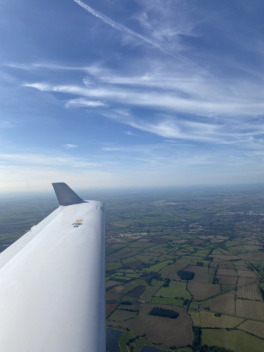 Bat Pilot tweet media