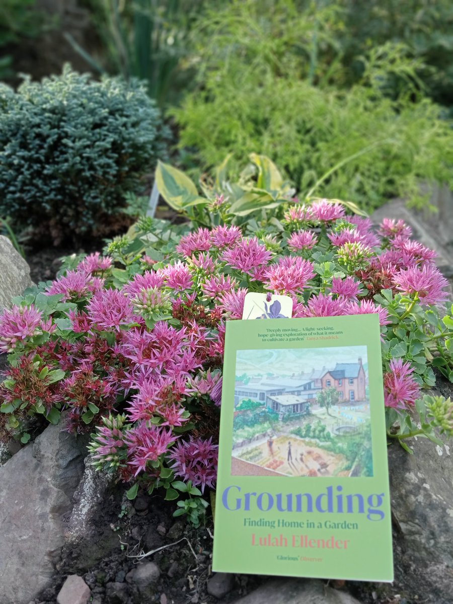 I have stumbled into @LulahEllender's garden and I don't think I will ever leave. Grounding is an exquisite book. #amreading #naturelovers #garden #hiraeth #searchforhome