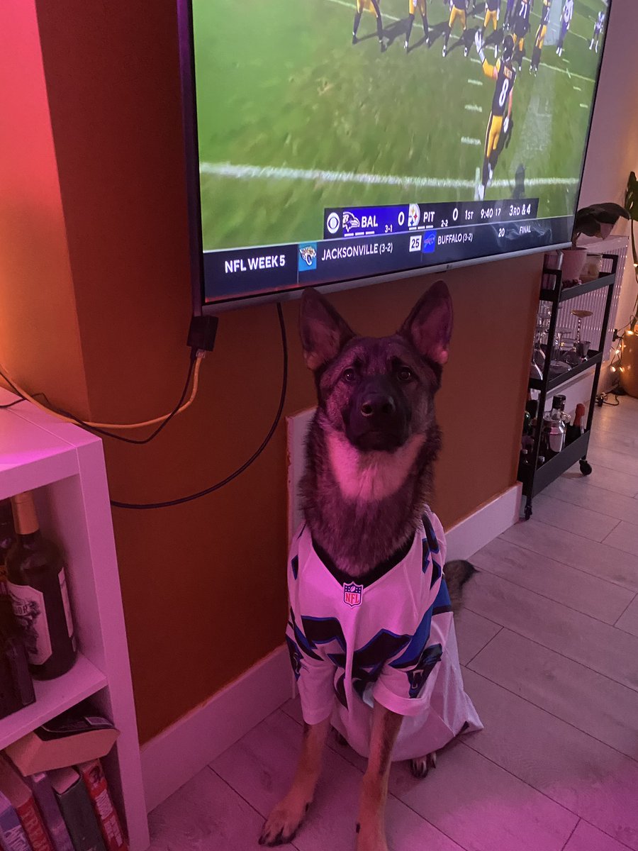 ktbenson's tweet photo. The longest neck in the #NFL ready for 7 hours of commercial free football 🏈 #redzone https://t.co/GX7gX9LtyO