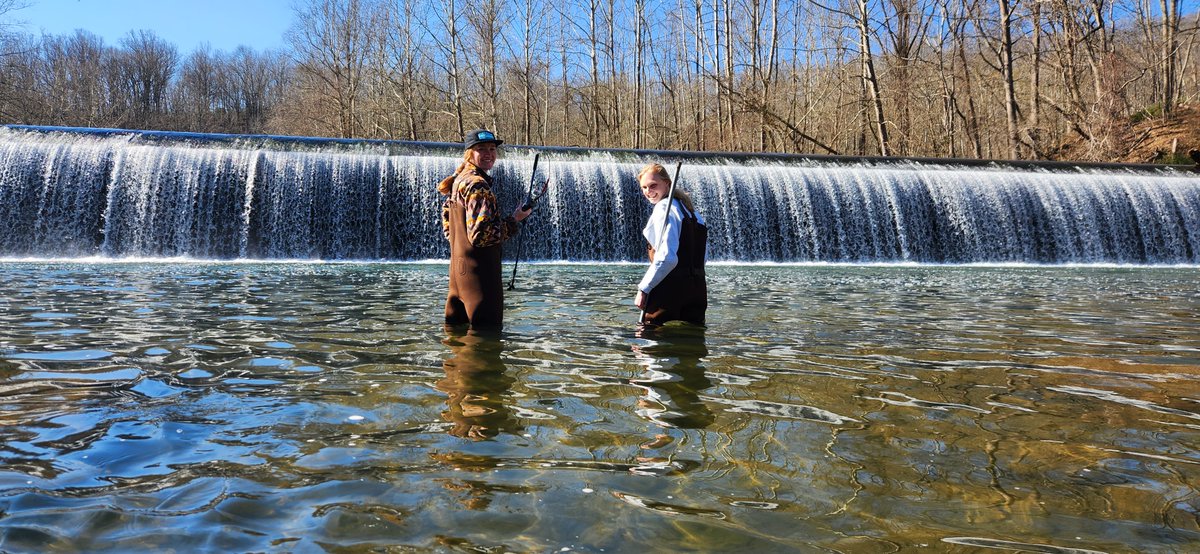 🔔 Fellowship Opportunity 🔔 Want to contribute to leading research on anadromous fish ecology and behavior? Become a fellow @SmithsonianEnv to work on river herring in the #ChesBay! Deadline: Nov. 1 #ecology #riverherring #anadromous #fellowship [serc.si.edu/fellowships]