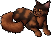 warriorsshipotd's tweet photo. 5th ship otd is runningred (runningwind x redtail)!

requested by anonymous!

tags: #warriorcats #redtail #runningwind https://t.co/6Uhx1bZkCA