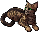 warriorsshipotd's tweet photo. 5th ship otd is runningred (runningwind x redtail)!

requested by anonymous!

tags: #warriorcats #redtail #runningwind https://t.co/6Uhx1bZkCA
