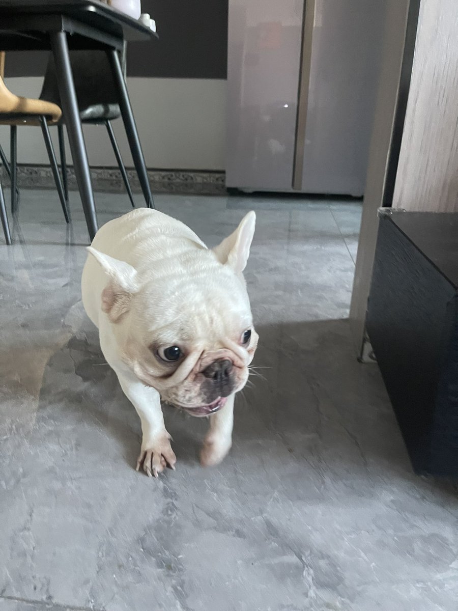 Fiduty tweet media