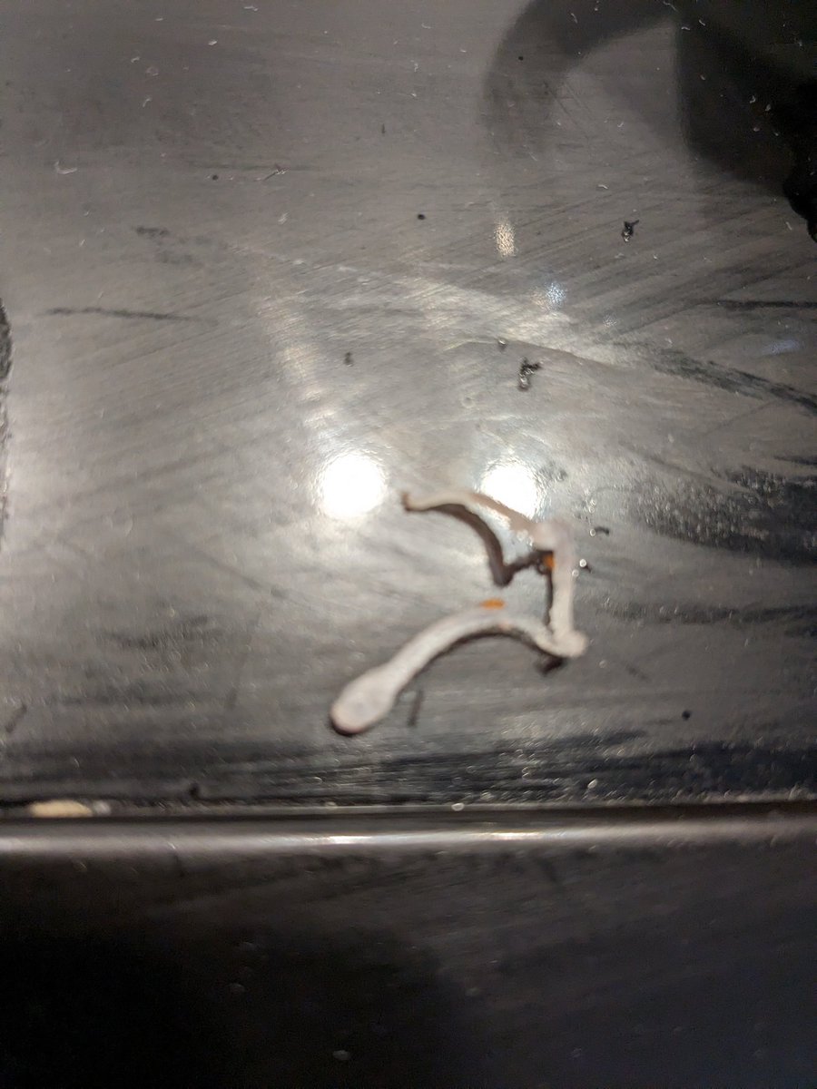 Hive mind . What is this - was in our mince....