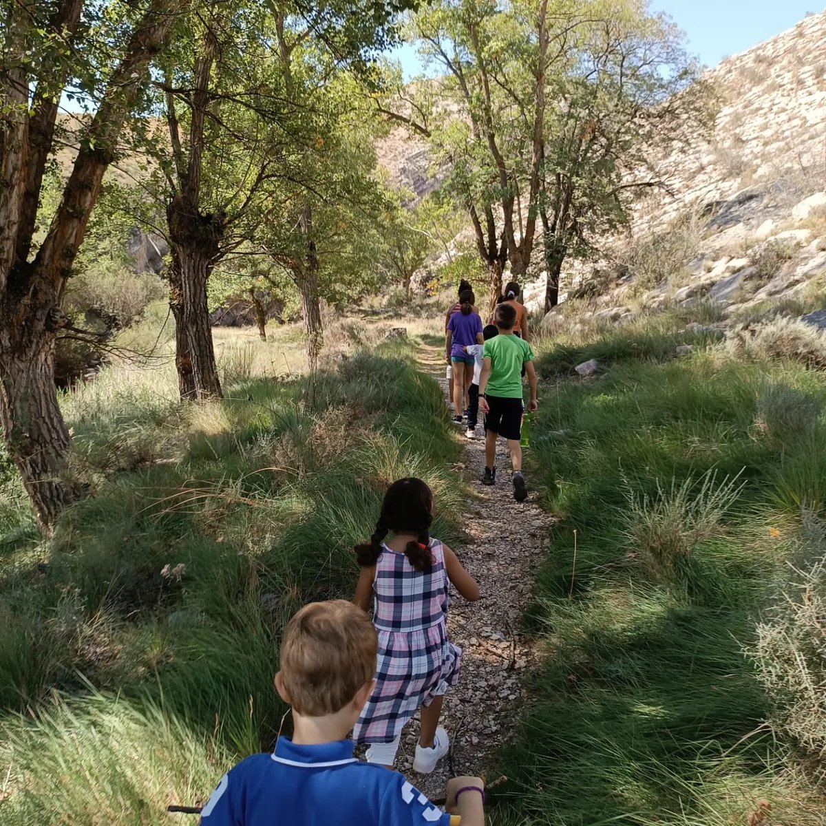 Este inicio de curso viajamos por Aragón, en concreto en Galve, investigamos la celebración del Santísimo Misterio en Aguaviva. Os dejamos unas imágenes de nuestro producto final, una magnífica alfombra y como nos lo pasamos, lo podéis deducir...🤸🏻‍♀️😃 <a href="/AytoAguaviva/">Ayuntamiento de Aguaviva</a> #orgullorural