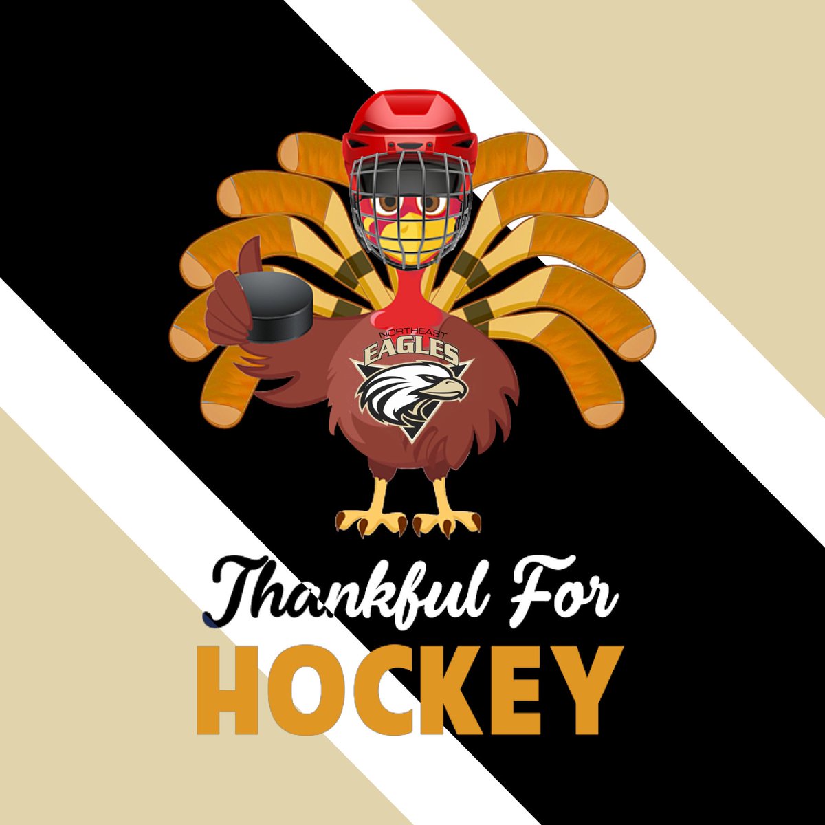 NEMHAu11F_tier1's tweet photo. @ne_eagles 💛🦅🖤 https://t.co/OaEGEjFC2N