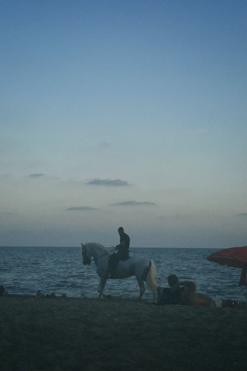 iriispareja_'s tweet photo. sueño de toda niña: ver un caballo en la playa https://t.co/J7h6C5Wnxj