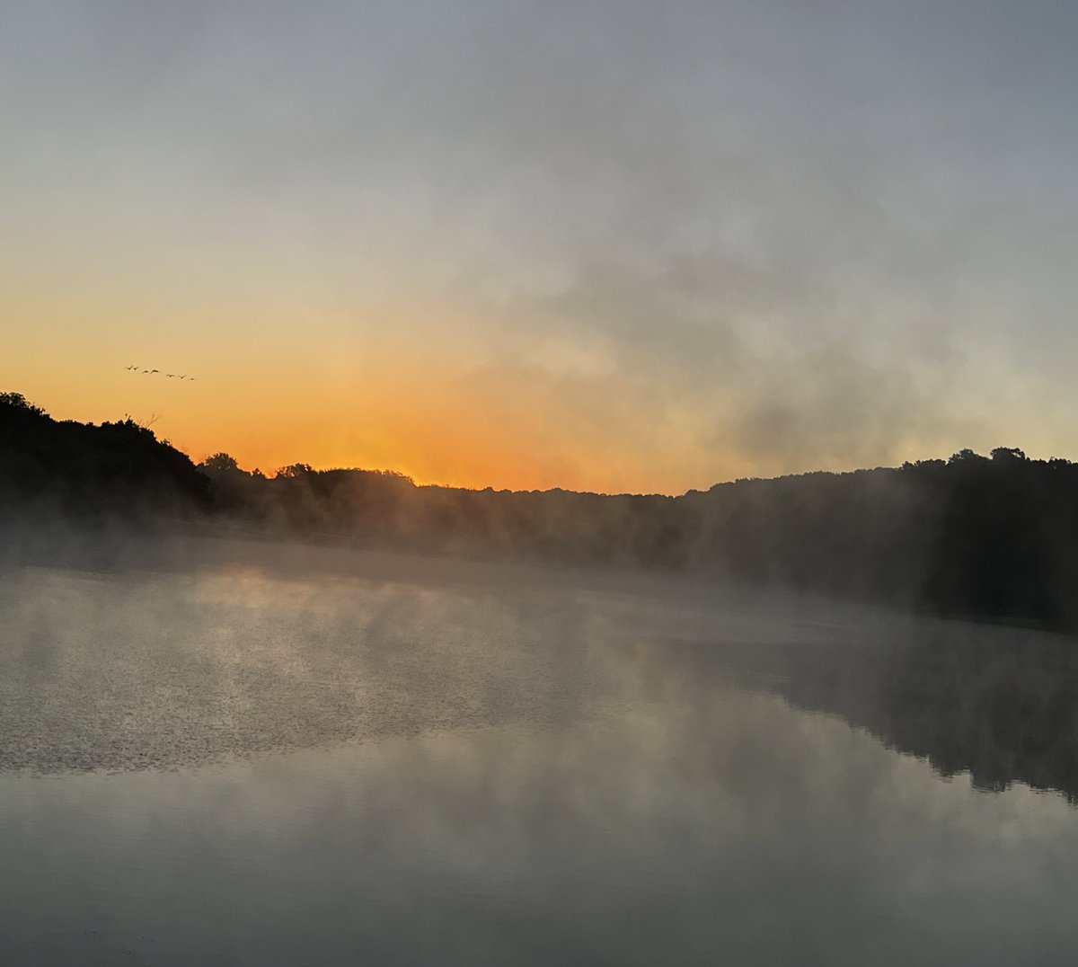 RandallDeanWill's tweet photo. A little late but that doesn’t matter. Friday morning was a wonderful, though  brisk, start to the weekend. Got to enjoy sunrise at Fellows Lake with the @WCOzarks and partners discussing the past year. Can’t wait to see what 2024 may bring. https://t.co/Vh9KWPIdpV