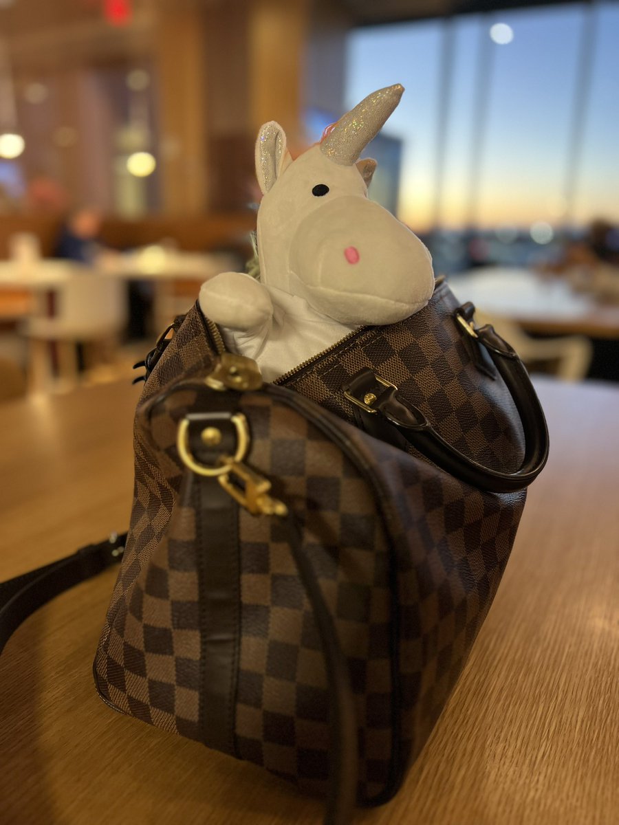 Off to Italia we go; the most magical country in the whole wide world ✈️🇮🇹🦄🧠 #ECTRIMS #MSMilan2023 #NeuroTwitter