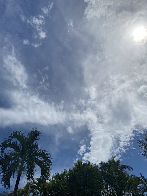 mini photo dump from my amazing trip to soflo. big shout out to all crew, companies, fellow performers