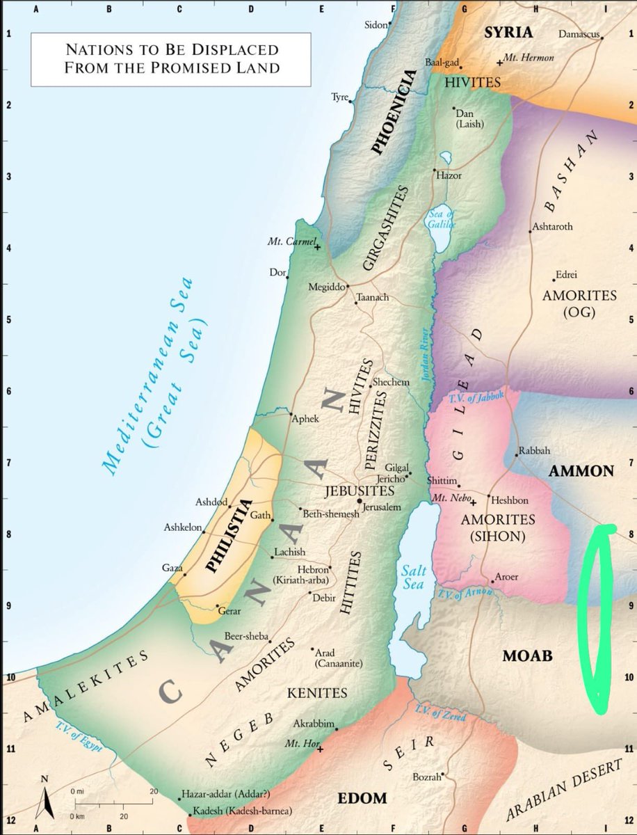 canibalrh's tweet photo. @TrapieLLo Equivocado!Hace más de 3.000 años el rey David creó el reino de Isrrael en esa tierra, 1.130 años después el emperador romano Adriano expulsó a los judíos de Judea y nombró es zona Palestina(Filistea)para desaparecer al pueblo judío de su tierra. La Historia no te mata,te enseña! https://t.co/oaboce0f4s