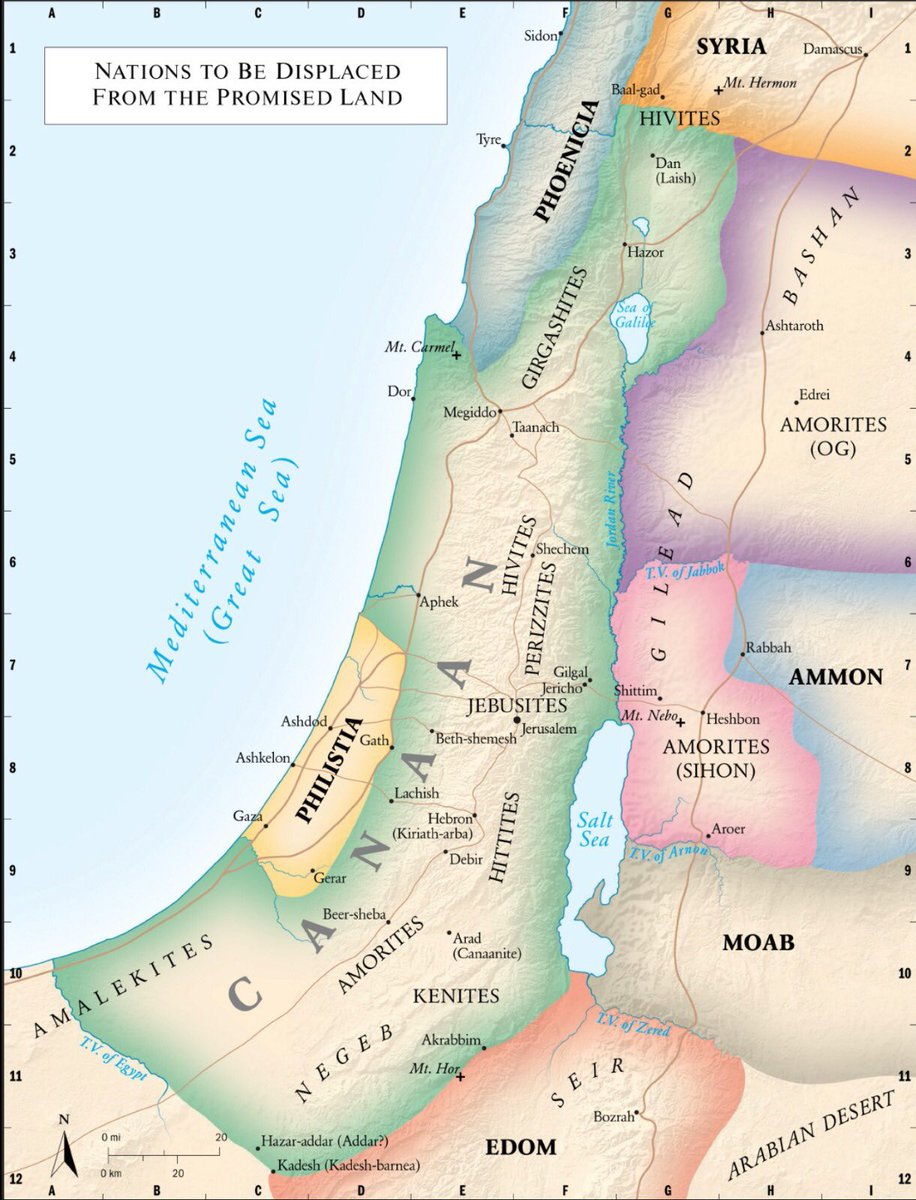 canibalrh's tweet photo. @TrapieLLo Equivocado!Hace más de 3.000 años el rey David creó el reino de Isrrael en esa tierra, 1.130 años después el emperador romano Adriano expulsó a los judíos de Judea y nombró es zona Palestina(Filistea)para desaparecer al pueblo judío de su tierra. La Historia no te mata,te enseña! https://t.co/oaboce0f4s
