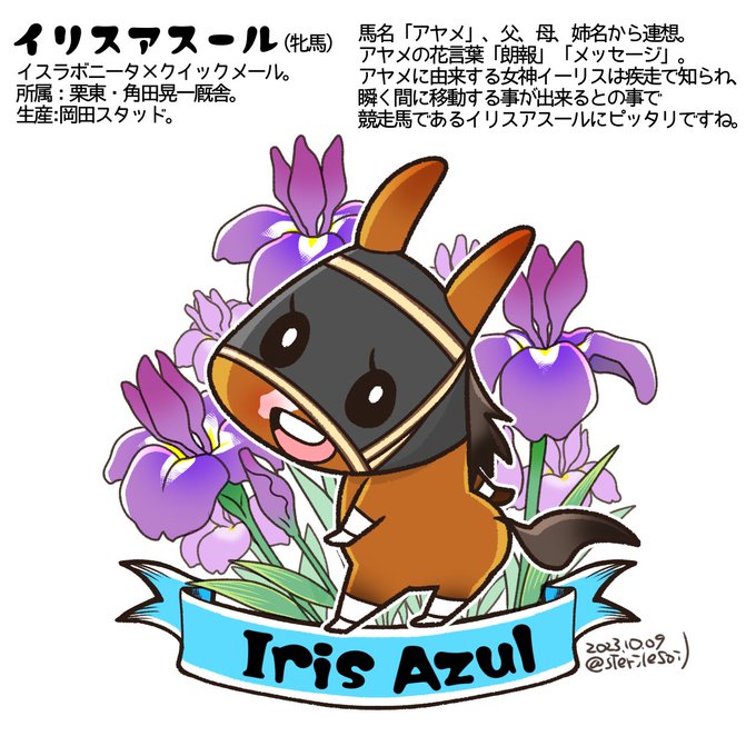 本日出走予定のノルマンディーのイスラボニータ産駒 イリスアスールちゃん。 小麦色の肌に健康的な身体が可愛らしかったので。 名前も可愛い。 名前の由来のアヤメとカキツバタ書き間違えてたらごめんなさい
