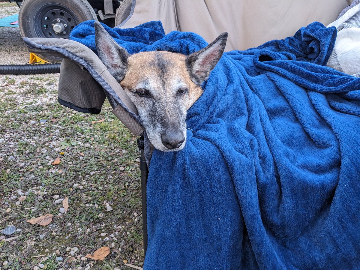 Jeff Stacey tweet media